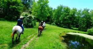 Horseback riders walking through a green field with tress around
