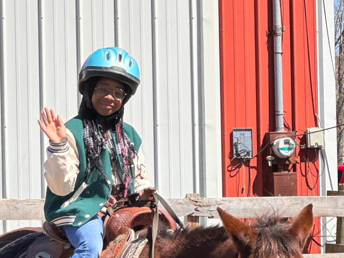 a person riding a horse