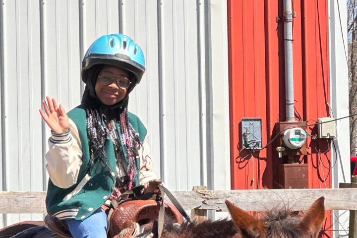 a person riding a horse