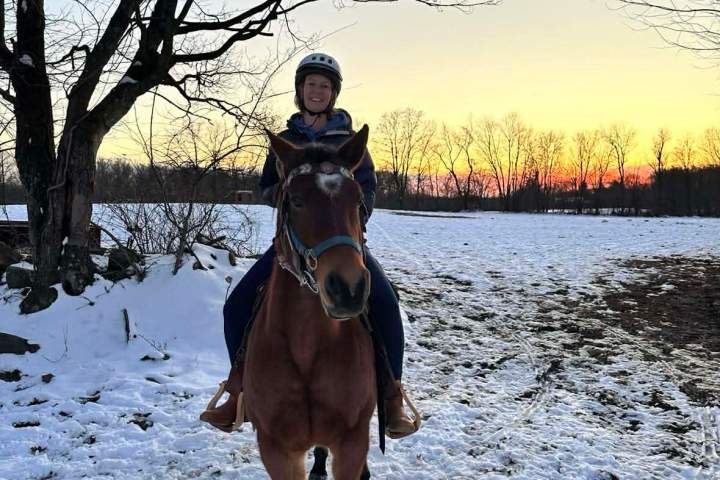 Person riding a horse on a snowy field at sunset, with leafless trees in the background.