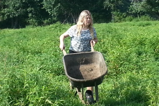 Girl walking a wheelbarrow through a field