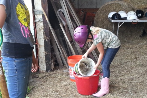 young girl scooping horse feed out of a bucket