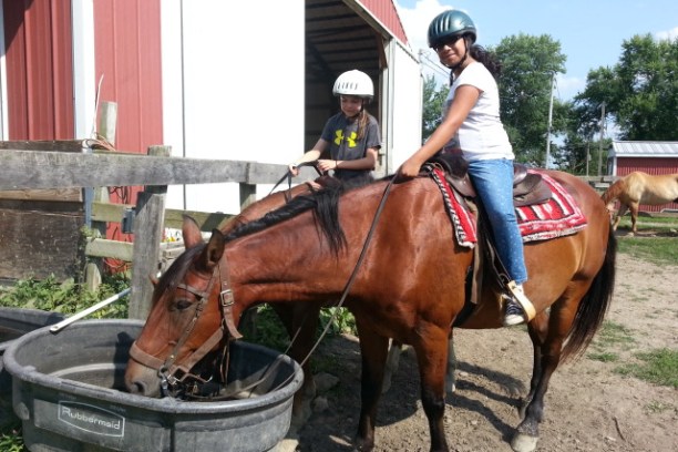 Horseback rider letting horse drink from water trough