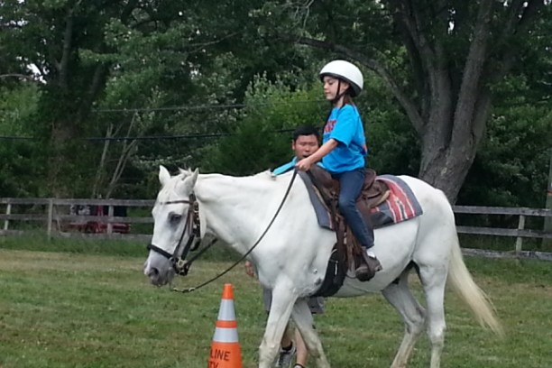 Young child riding a horse in arena