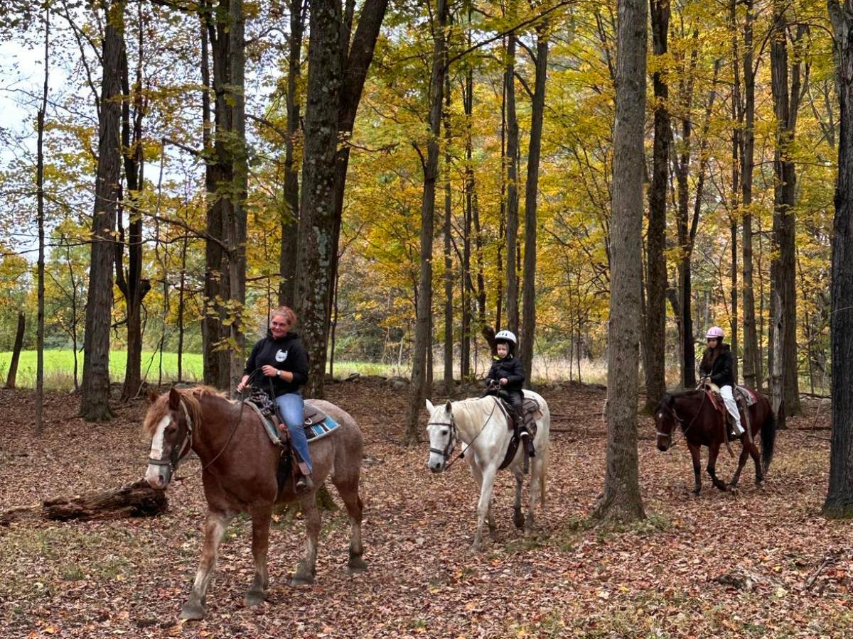 a group of people riding a horse in a forest