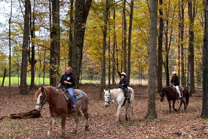 a group of people riding a horse in a forest