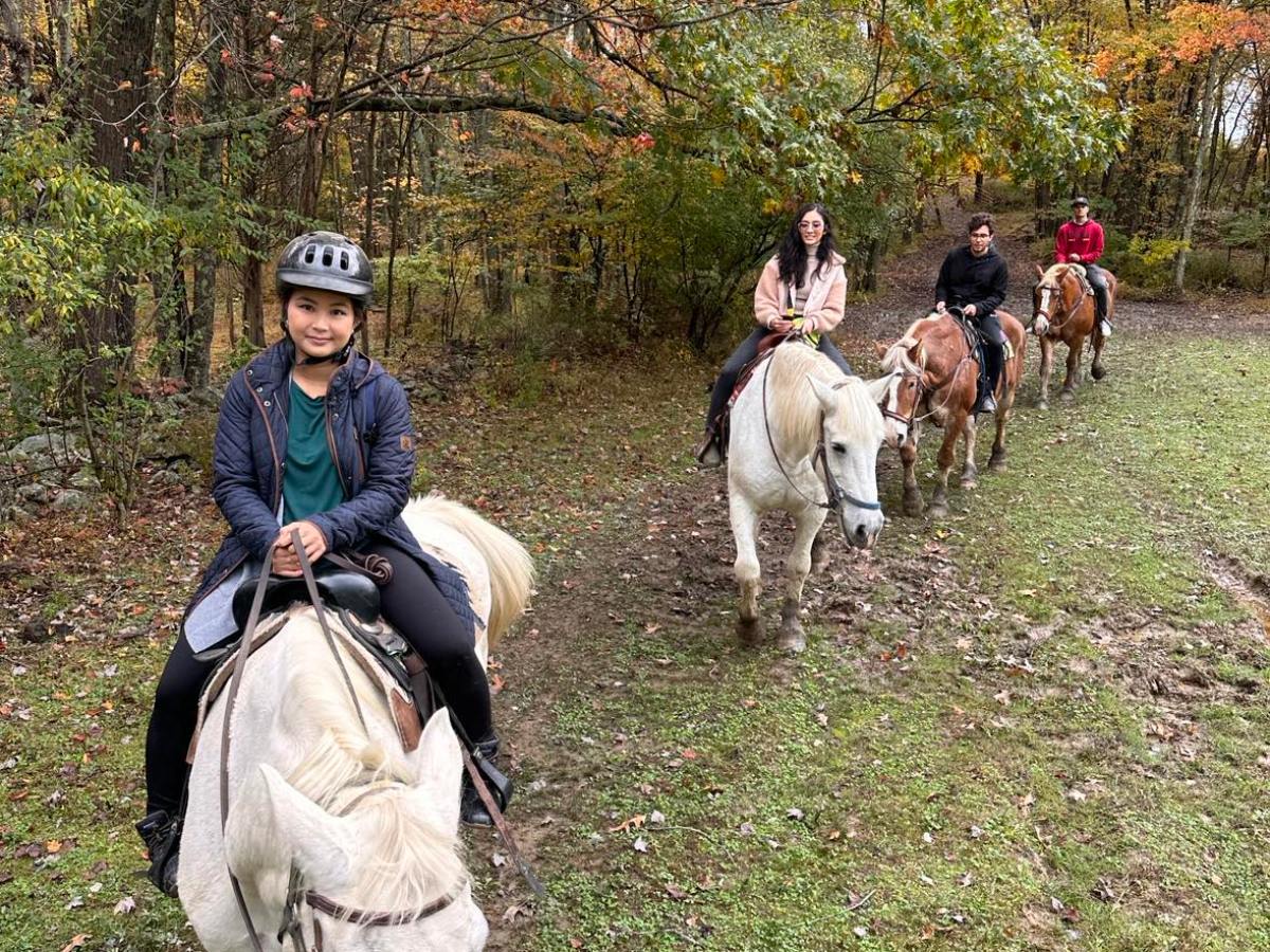a group of people riding on the back of a horse