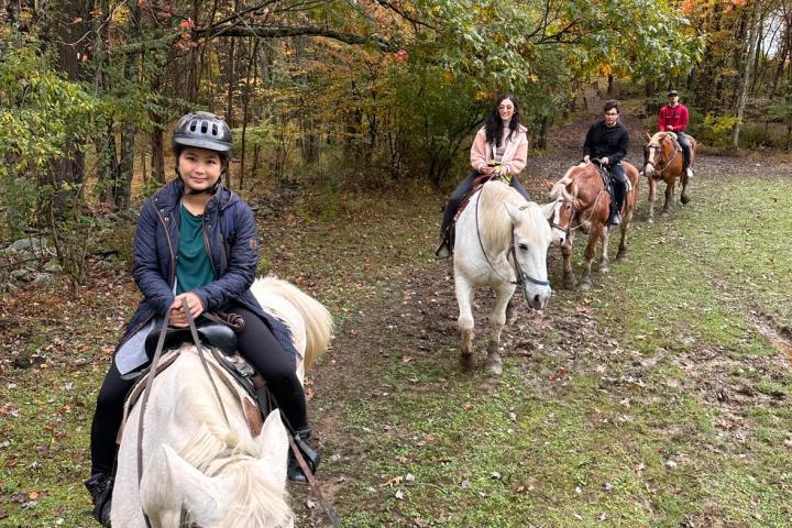 a group of people riding on the back of a horse