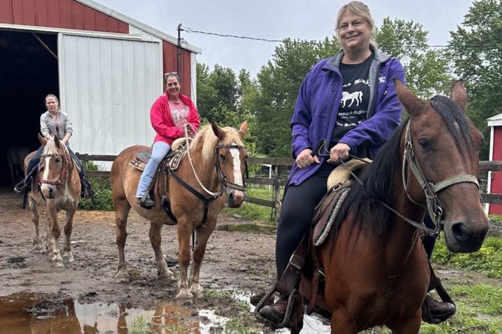 a group of people riding on the back of a horse