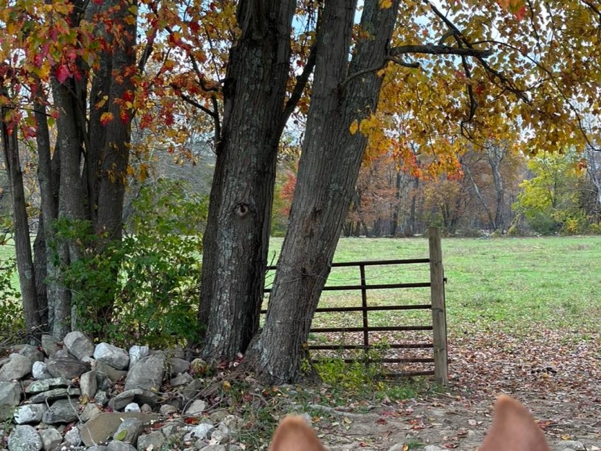 a person lying on the ground