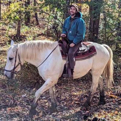 a person riding a horse in a forest