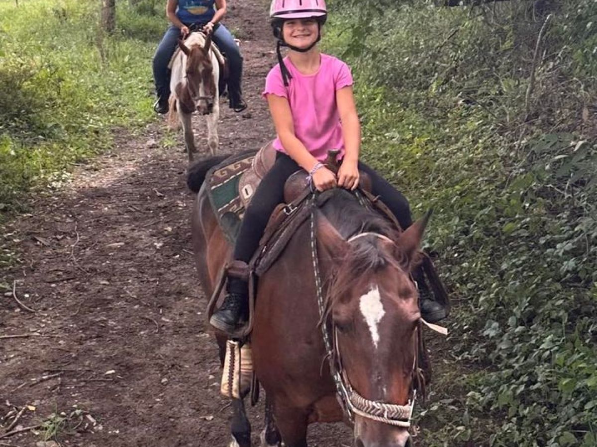 a person riding a horse