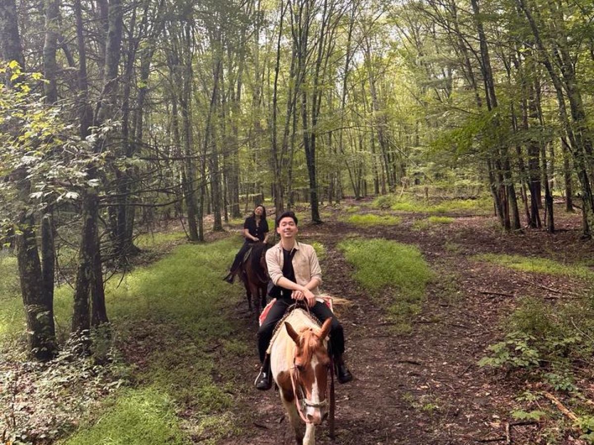 a person riding a horse in a forest