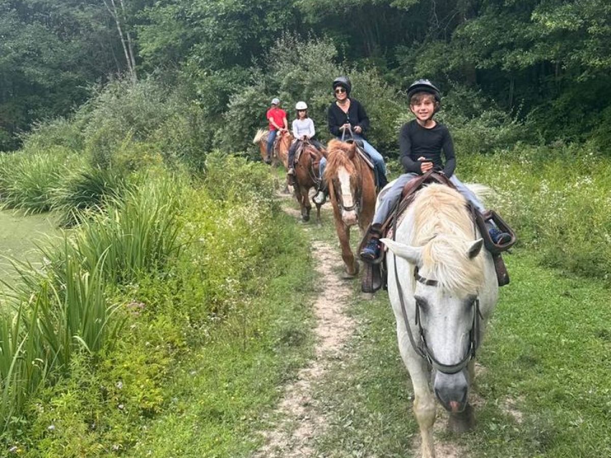 a man riding a horse