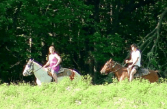 Two people riding horses near the woods