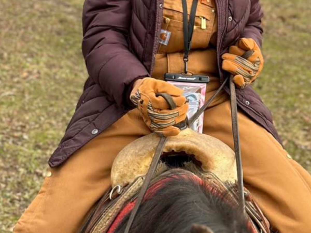 a person riding on the back of a brown horse
