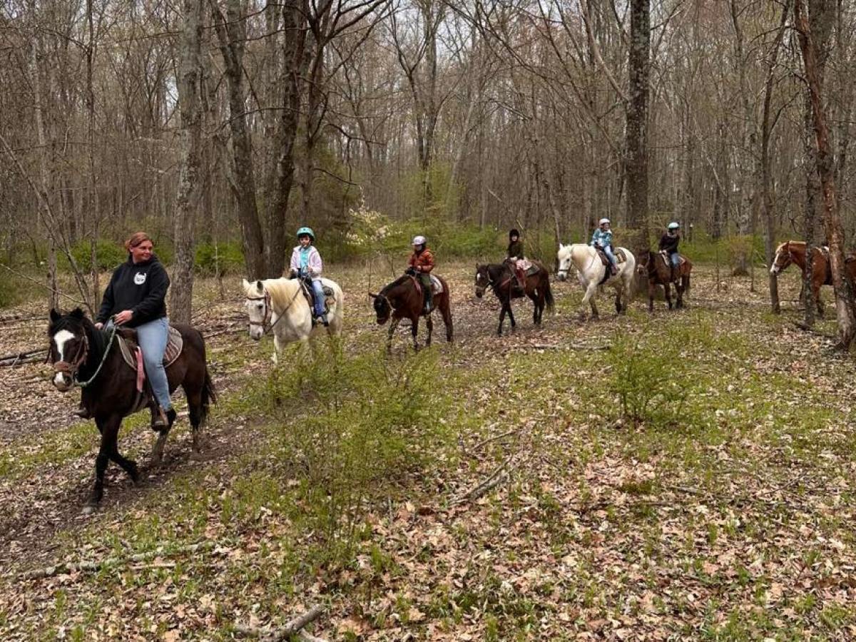 a group of people in a forest