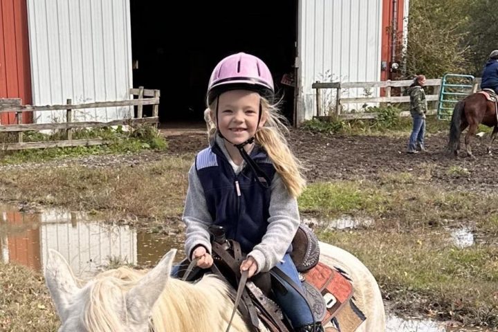 a person riding a horse