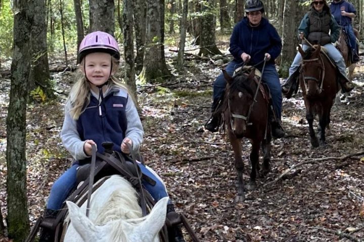 a group of people in a forest