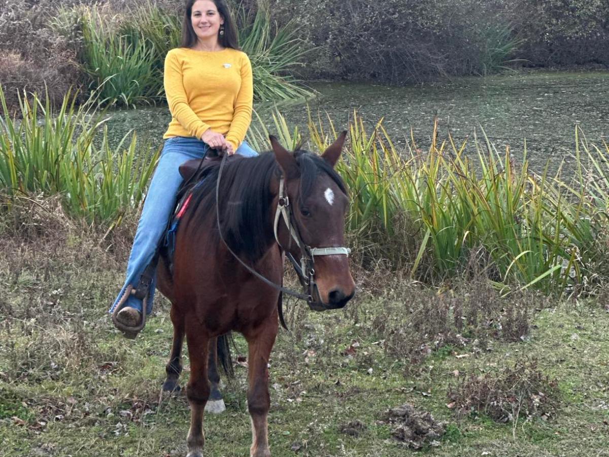 a person riding a horse in a field