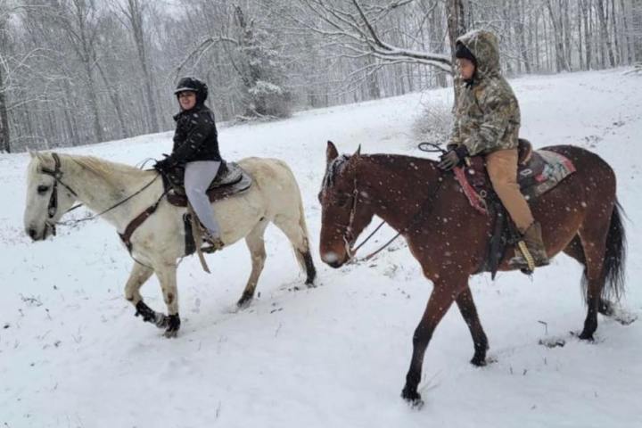 a person riding a horse in the snow