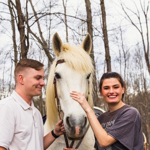 a group of people standing next to a horse