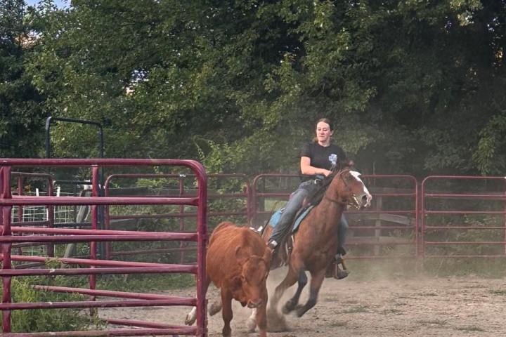 a person riding a horse in a field
