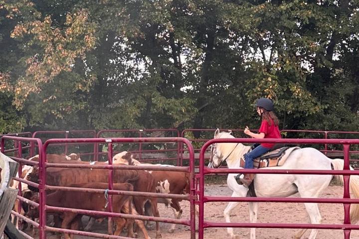 a group of people sitting on the side of a fence