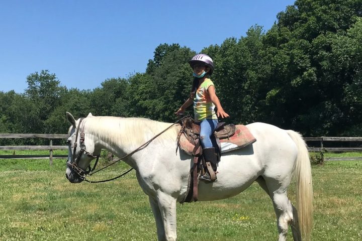 a person riding a horse in a field