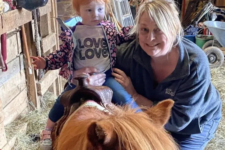 a brown horse standing next to a cow