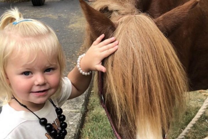 a small child is petting a horse