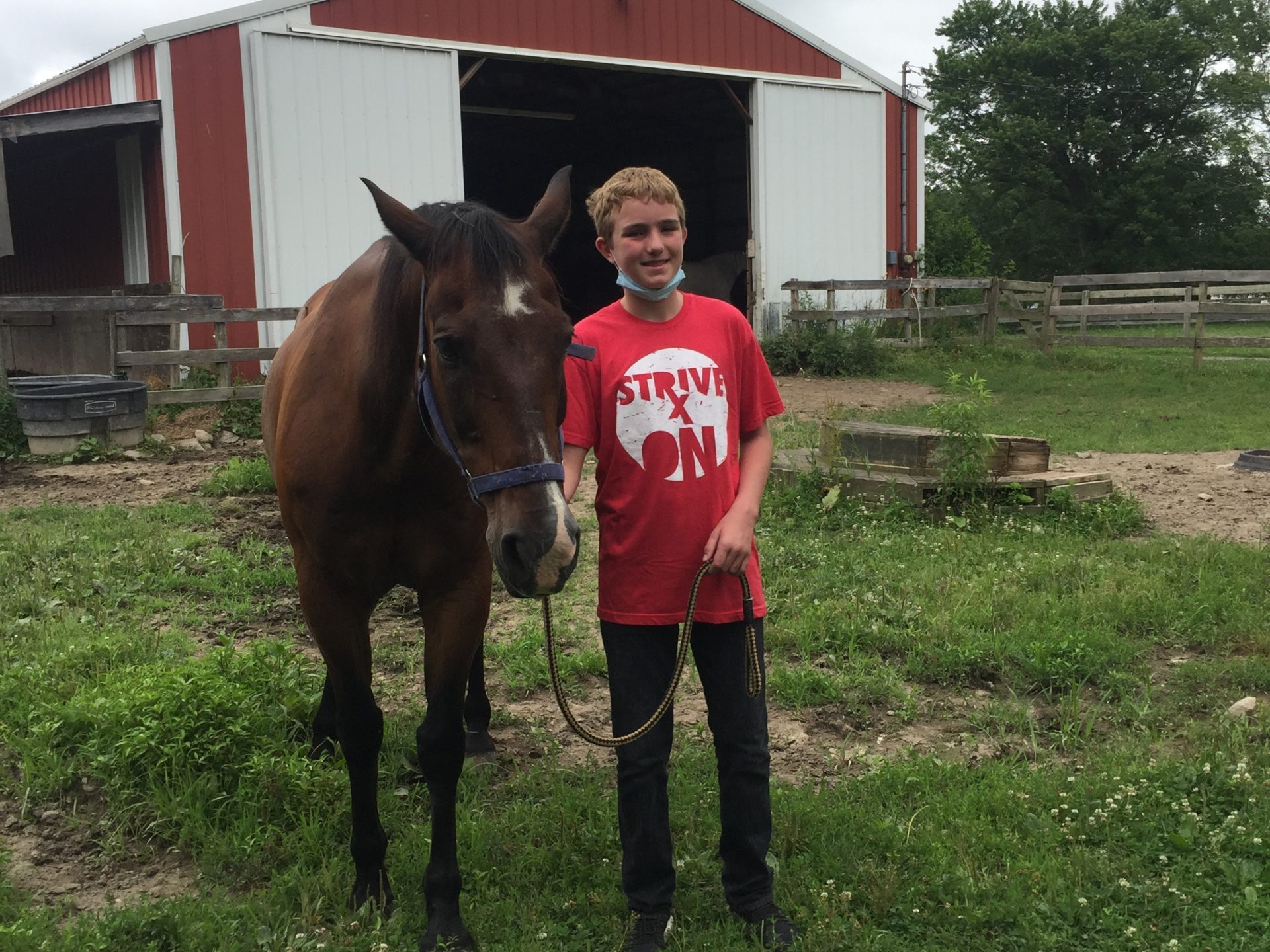 a brown horse standing on top of a grass covered field