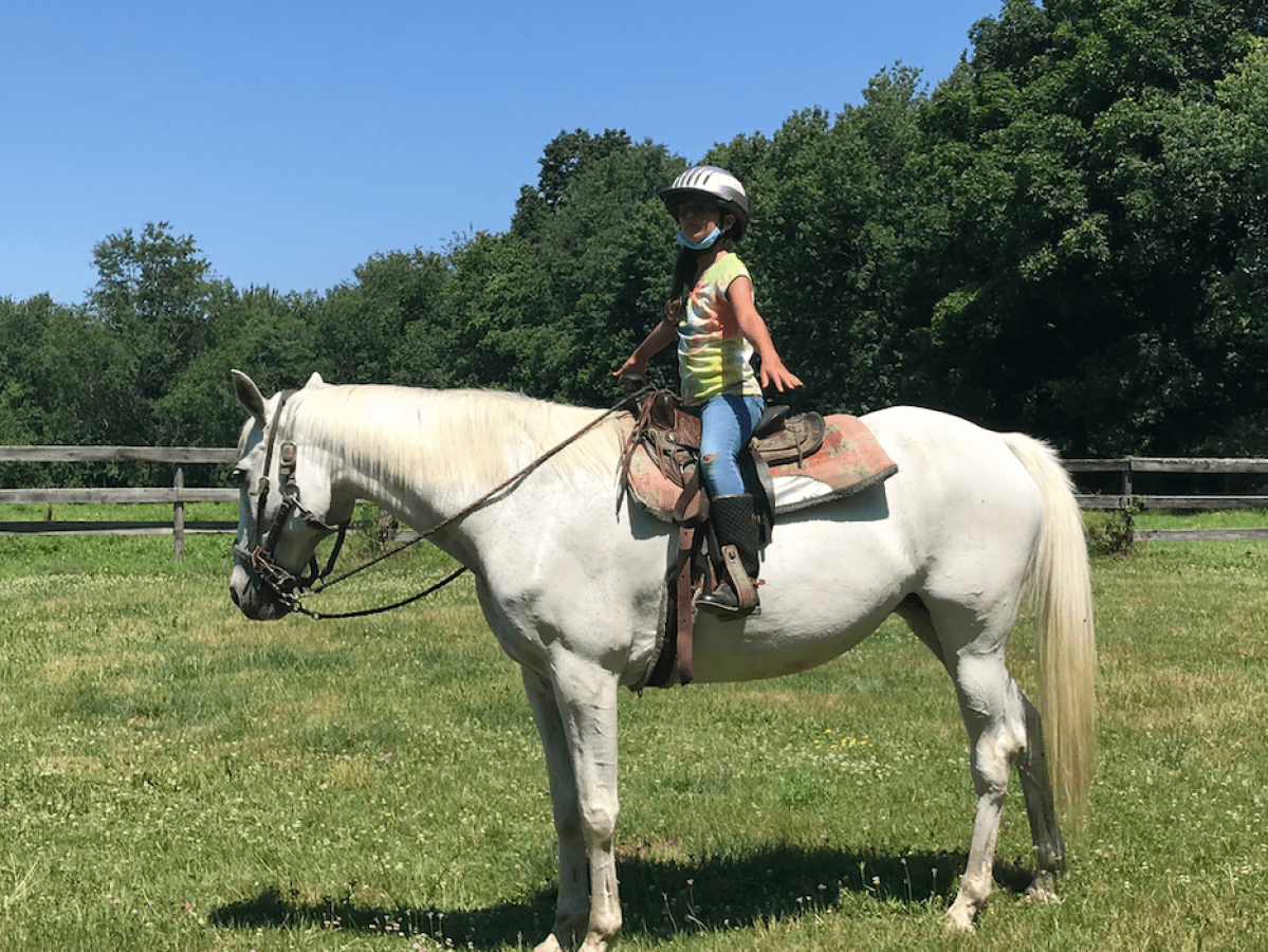a person riding a horse in a field