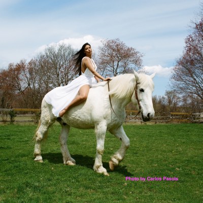 a horse standing on top of a grass covered field