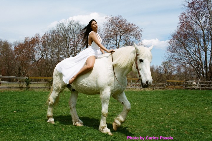 a horse standing on top of a grass covered field