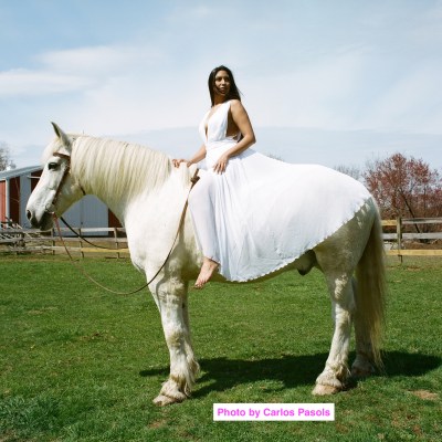 a horse standing on top of a grass covered field