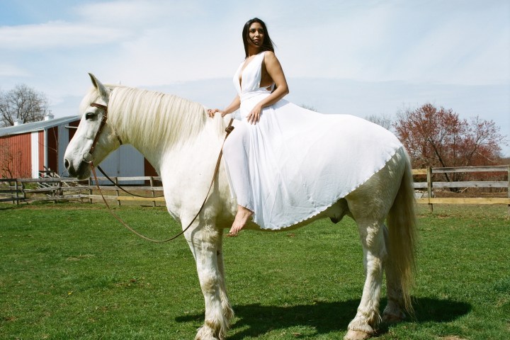 a horse standing on top of a grass covered field