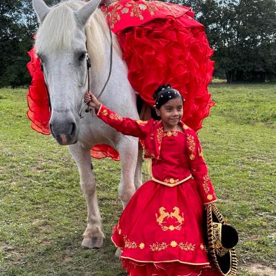 a person riding a horse in a field
