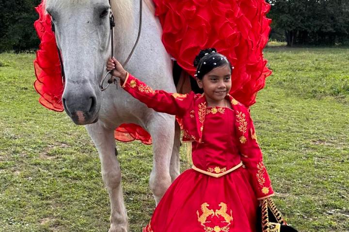 a person riding a horse in a field