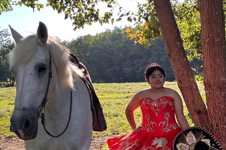 a person standing next to a horse