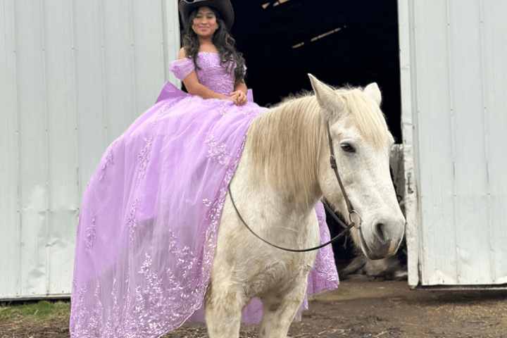 Girl in purple dress and cowboy hat on a white horse in front of barn.
