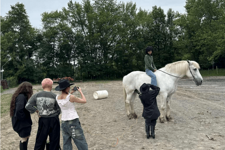 Person on white horse being photographed by four others in an outdoor setting with trees.