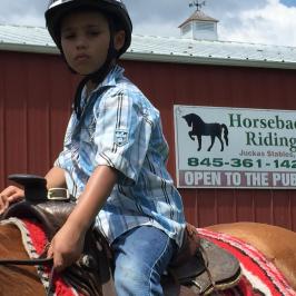 a person sitting on a horse