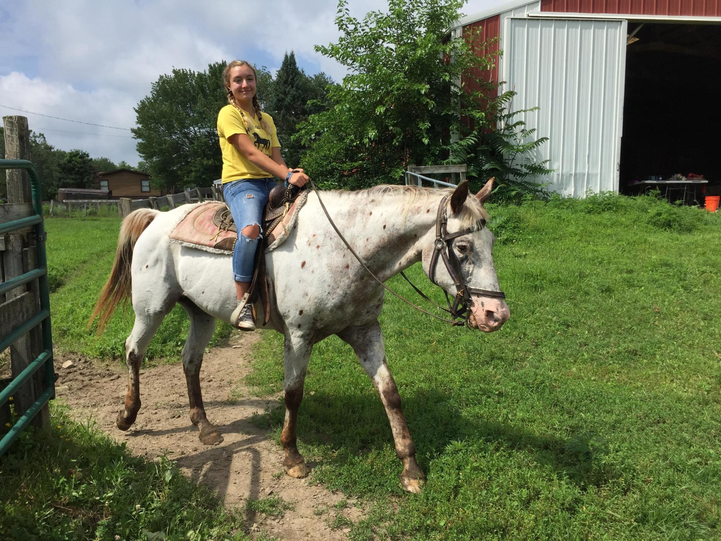 a person riding a horse
