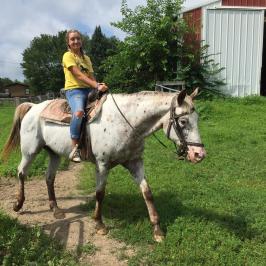a person riding a horse