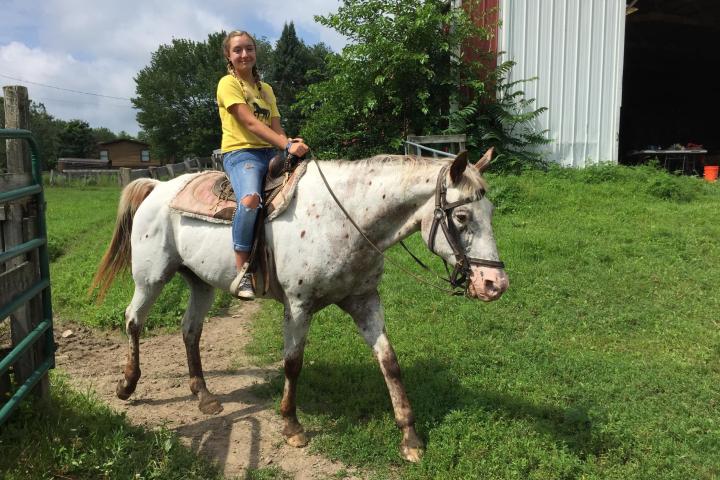 a person riding a horse