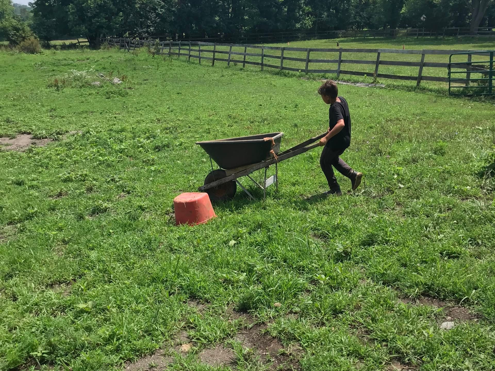 a person in a green field
