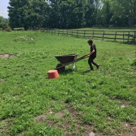 a person in a green field