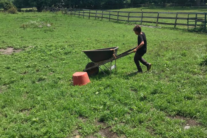 a person in a green field