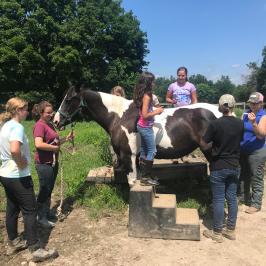 a group of people standing next to a horse